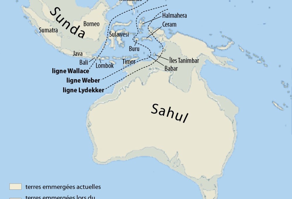 Le mystère des origines des aborigènes d'Australie ?